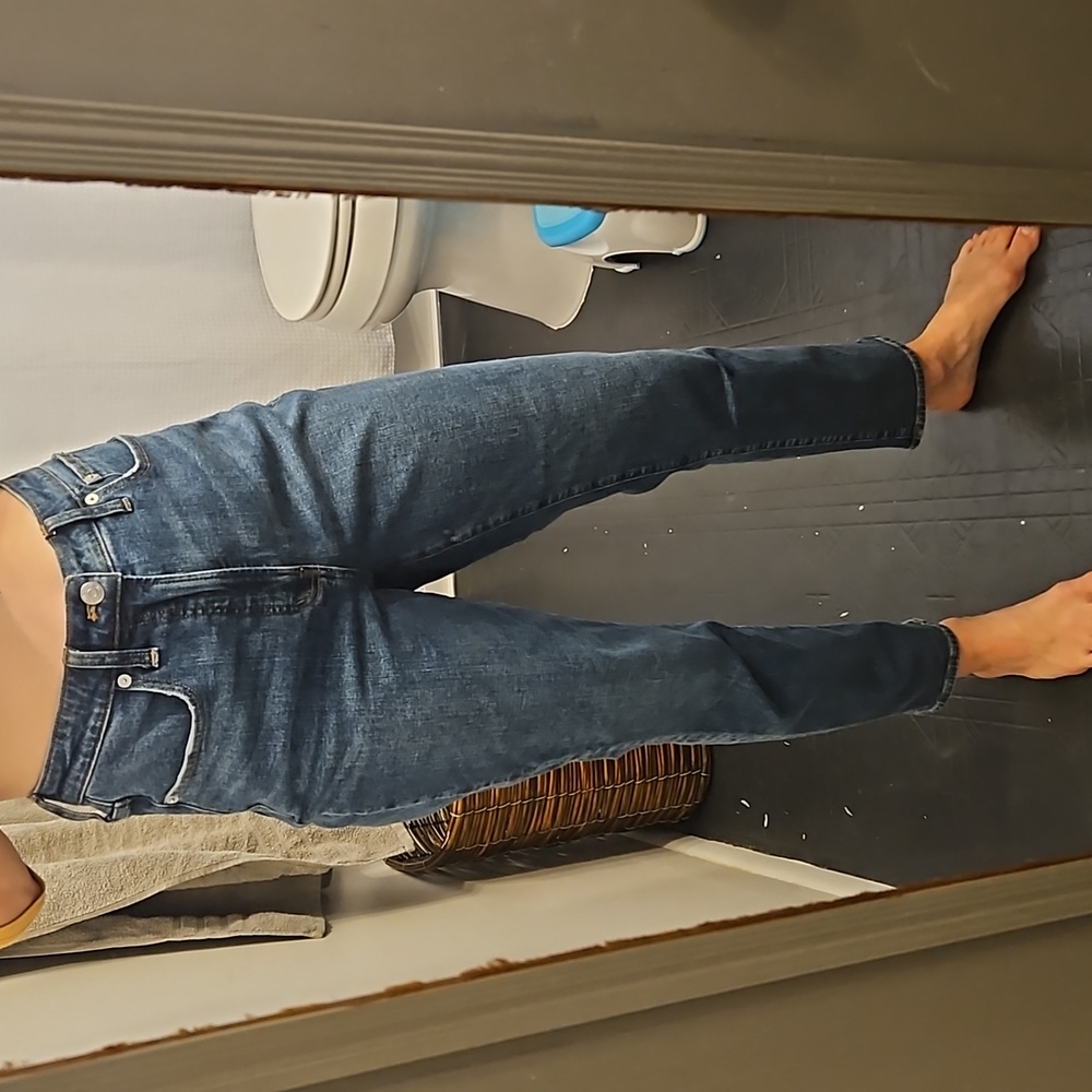 Madewell Curvy Perfect vintage Jean